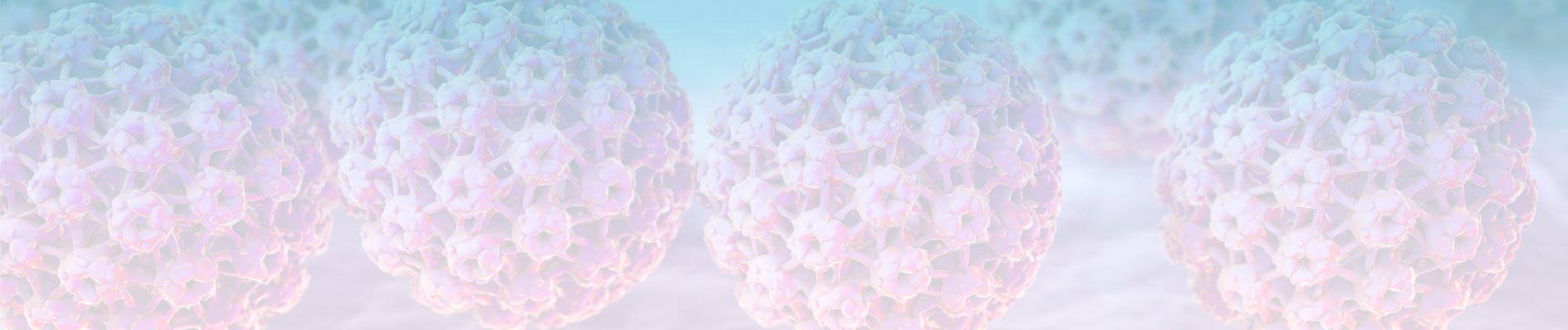 Virus HPV au microscope