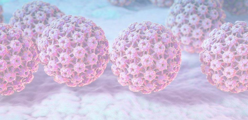 Virus HPV au microscope