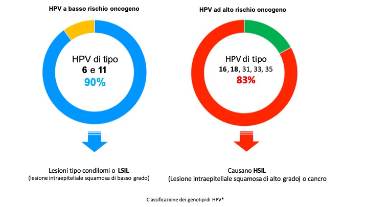 graphs HPV it